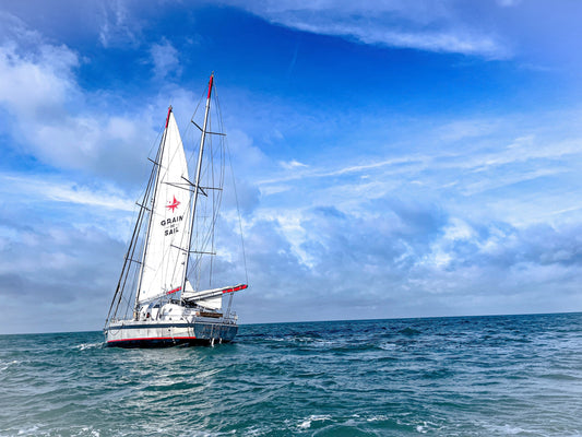 Grain de Sail - Export responsable à la voile