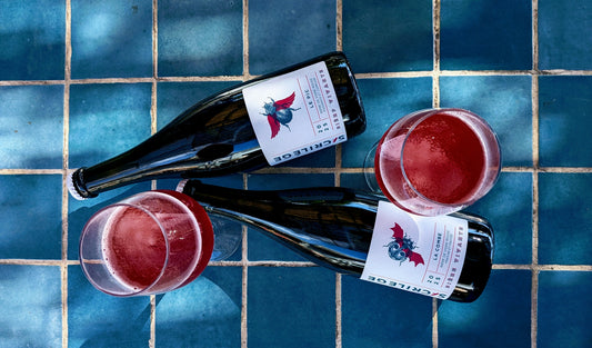 Nouveaux millésimes - Bières de Vigne 2025